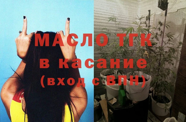 индика Верхний Тагил